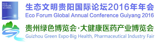 2016贵州绿色博览会·大健康医药产业(图7)