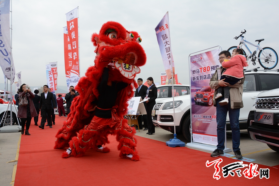 2017第六届天水汽车博览会拉开大幕(图7)